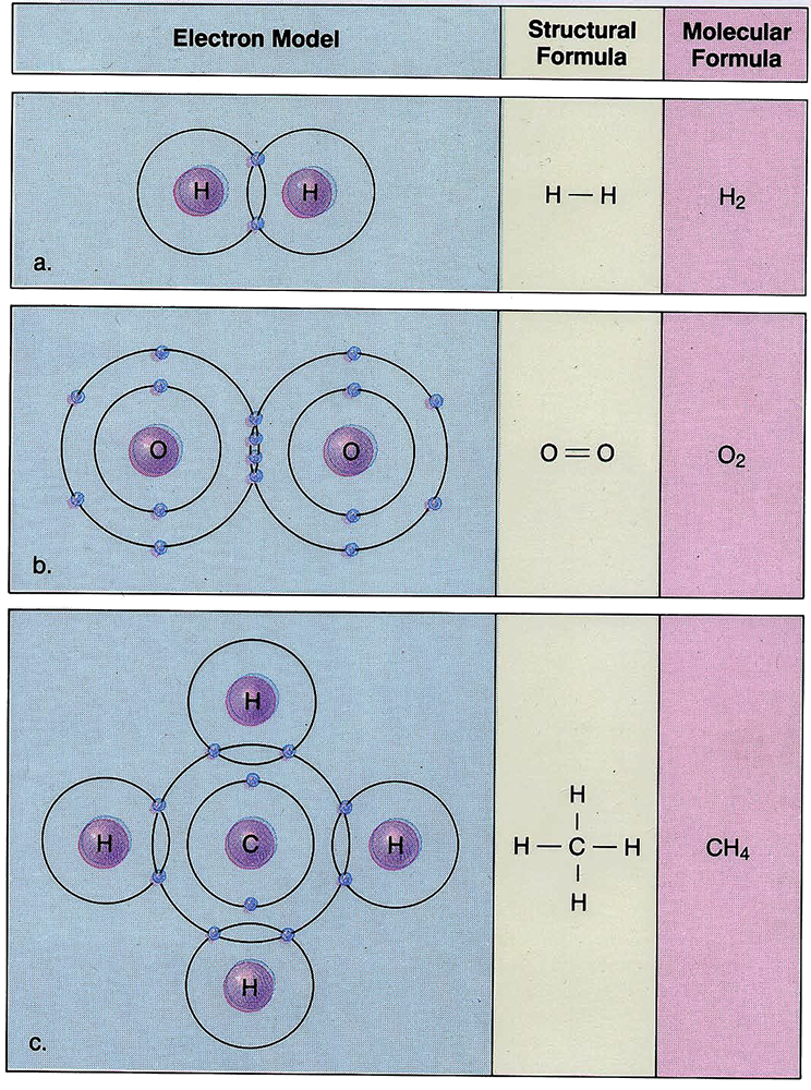 Electron Bonds