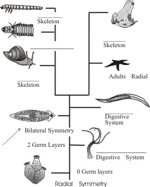 Biology 107 Home Page
