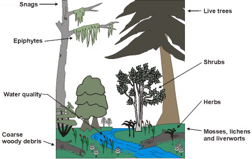 Ecological Indicators