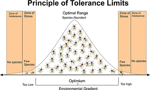law of tolerance definition