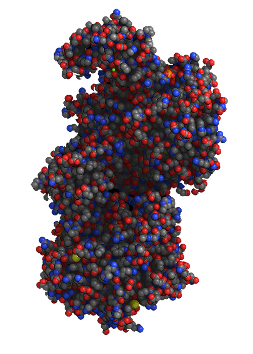 Coenzyme A