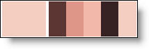 color palette image