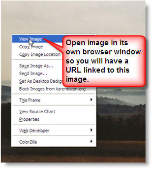 open image in own window